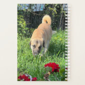 アナトリアンシェパードドッグプランナー プランナー手帳 (裏面)