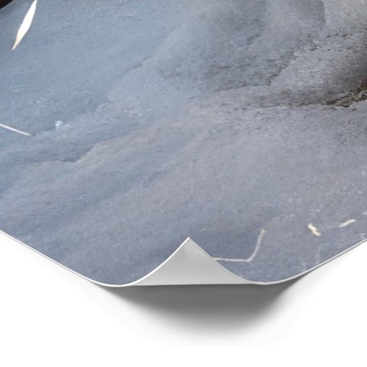 アナトリアンシェパード雪そりのクリスマスデコール ポスター (角)