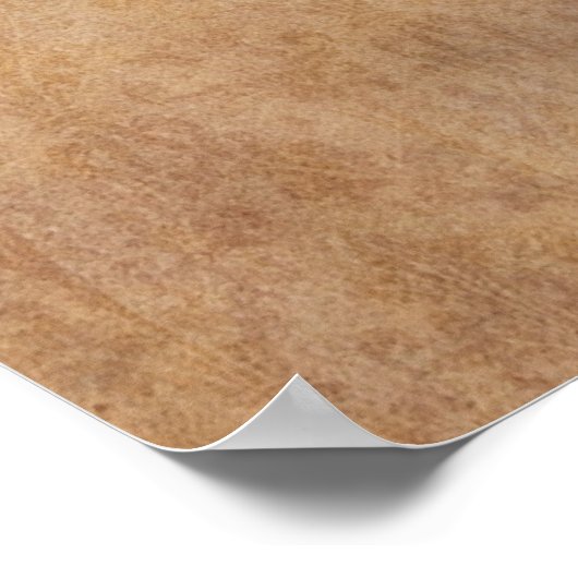 アナナス ポスター (角)