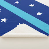 アナハイム国旗（カリフォルニア州，米国） シェルパブランケット (3/4)