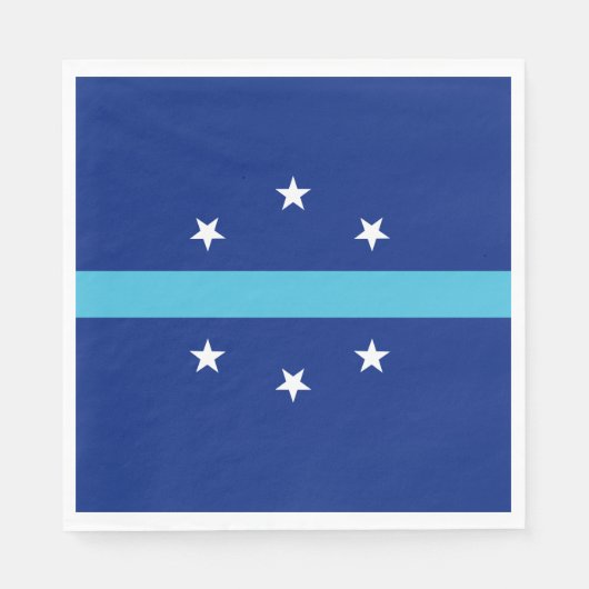 アナハイム国旗(カリフォルニア州,米国) スタンダードランチョンナプキン (正面)