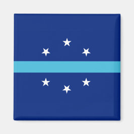 アナハイム国旗（カリフォルニア州，米国） マグネット