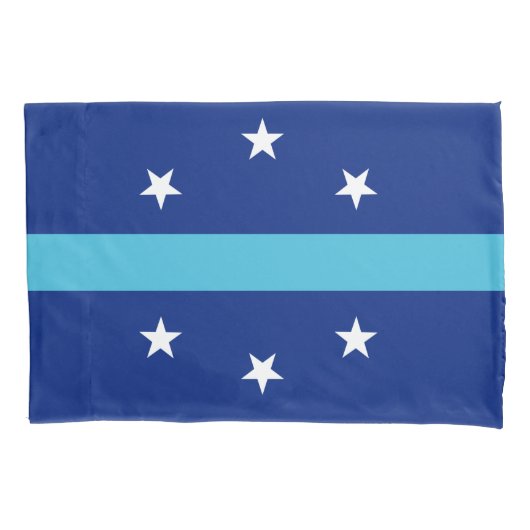 アナハイム国旗（カリフォルニア州，米国） 枕カバー (正面左)