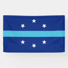 アナハイム国旗（カリフォルニア州，米国） 横断幕