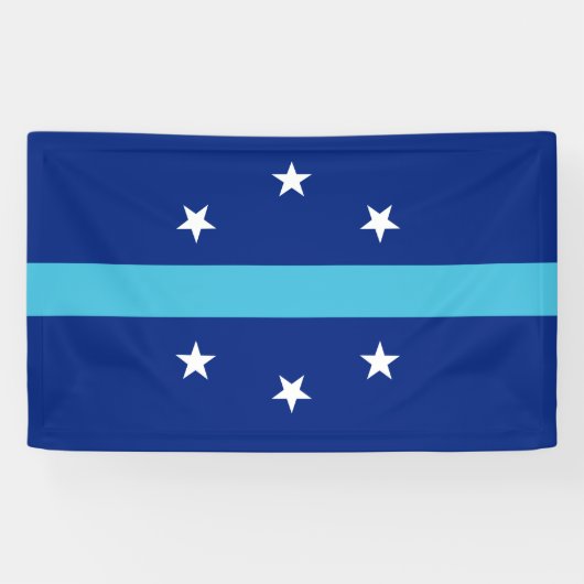 アナハイム国旗（カリフォルニア州，米国） 横断幕 (横)