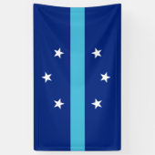 アナハイム国旗（カリフォルニア州，米国） 横断幕 (縦)