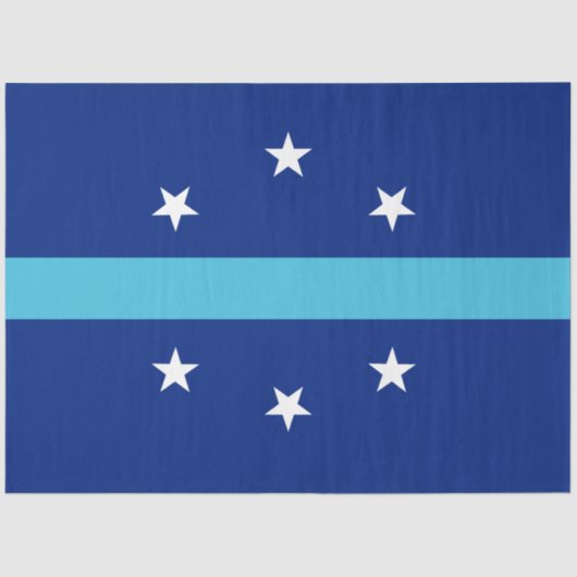 アナハイム国旗（カリフォルニア州，米国） 薄葉紙 (正面)