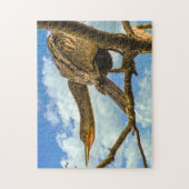 アナヒンガのヘビの鳥。 ジグソーパズル (縦)