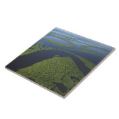 アナビルハナス列島の上空，浸水 タイル (側面)