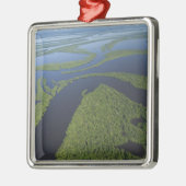 アナビルハナス列島の上空,浸水 メタルオーナメント (左)