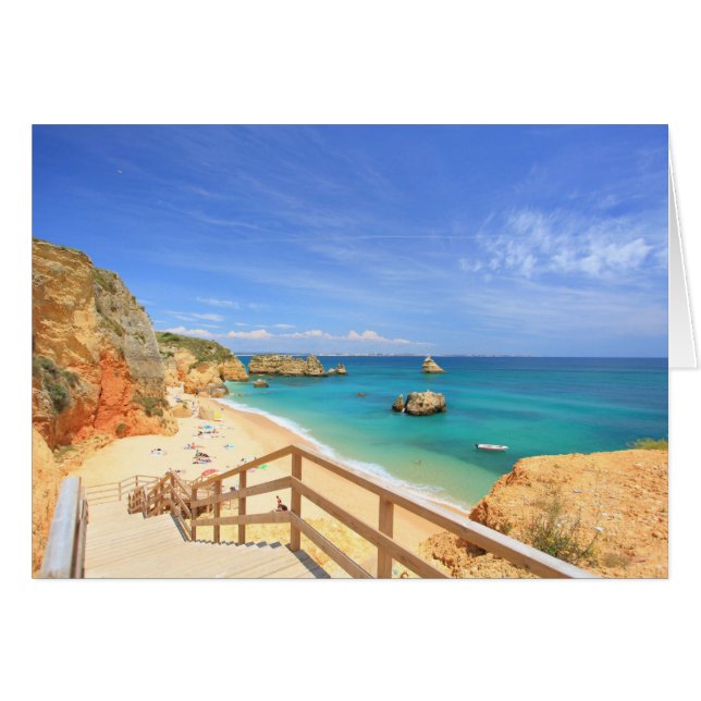 アナプライアda夫人 (正面横)