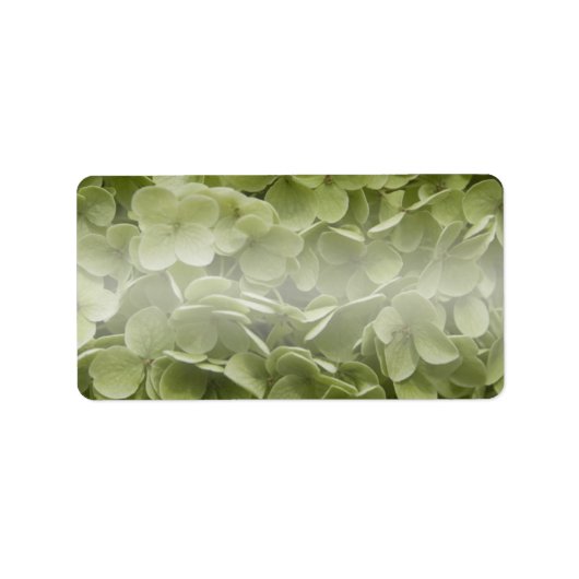 アナベルアジサイ花 ラベル (正面)