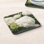 アナベル·ハイドランジア コースター (左側)