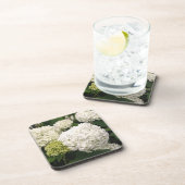 アナベル·ハイドランジア コースター (右側)