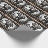 アナログテレビのアフリカゾウ ラッピングペーパー (角)