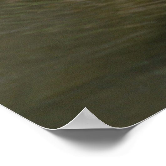 アナ大平韻 ポスター (角)