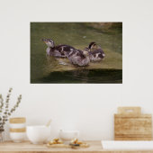 アナ大平韻 ポスター (キッチン)