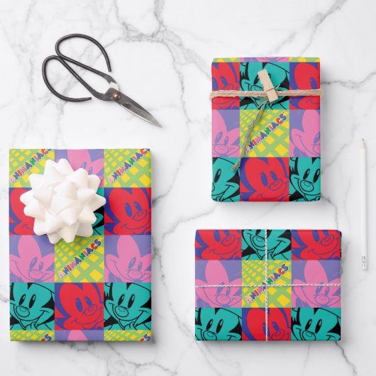 アニアックス |ワーナー兄弟姉妹ポップ・アートのアートグラフィック ラッピングペーパーシート (正面)