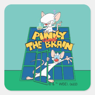 アニアックス | PinkyとThe Brain Cage Graphic スクエアシール