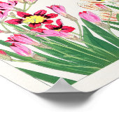 アニガミ湖南アフリカ産コーンリリー ポスター (角)