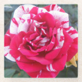 アニシア ガラスコースター (正面)