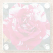 アニシア ガラスコースター (裏面)