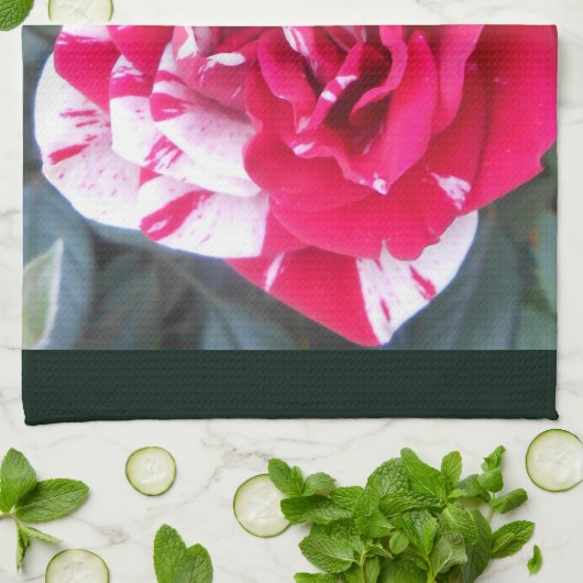 アニシア キッチンタオル (折り畳み)