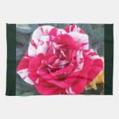 アニシア キッチンタオル (横)