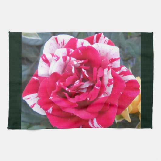 アニシア キッチンタオル (横)