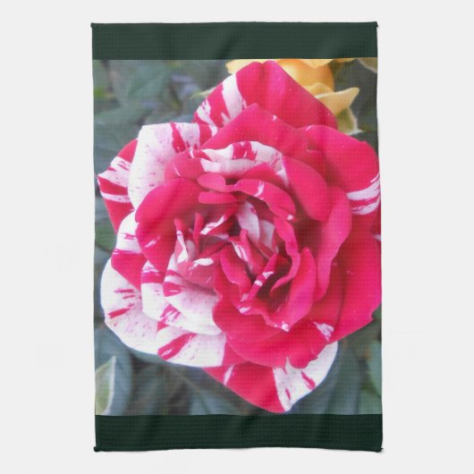 アニシア キッチンタオル (縦)