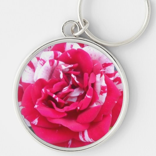 アニシア キーホルダー (正面)