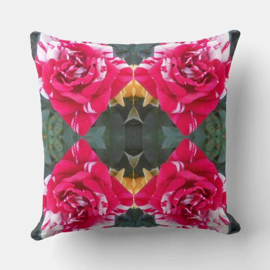 アニシア クッション (裏面)