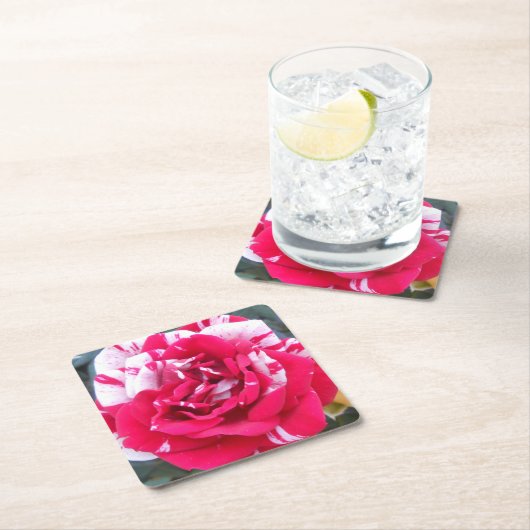 アニシア スクエアペーパーコースター (インサイチュ)