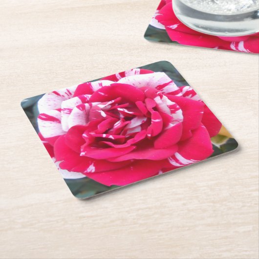 アニシア スクエアペーパーコースター (アングル)