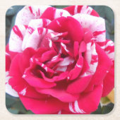 アニシア スクエアペーパーコースター (正面)