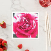 アニシア スタンダードカクテルナプキン (インサイチュ)