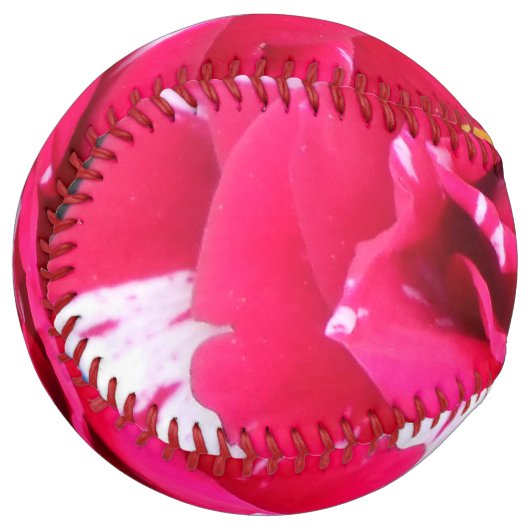 アニシア ソフトボール (正面左)