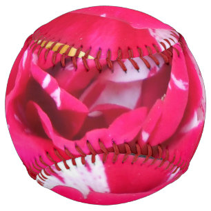 アニシア ソフトボール