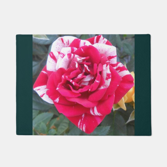 アニシア ドアマット (正面)