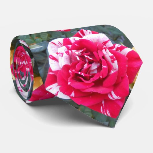 アニシア ネクタイ (ロール)