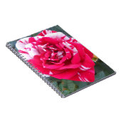 アニシア ノートブック (右側)