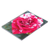 アニシア ノートブック (左側)