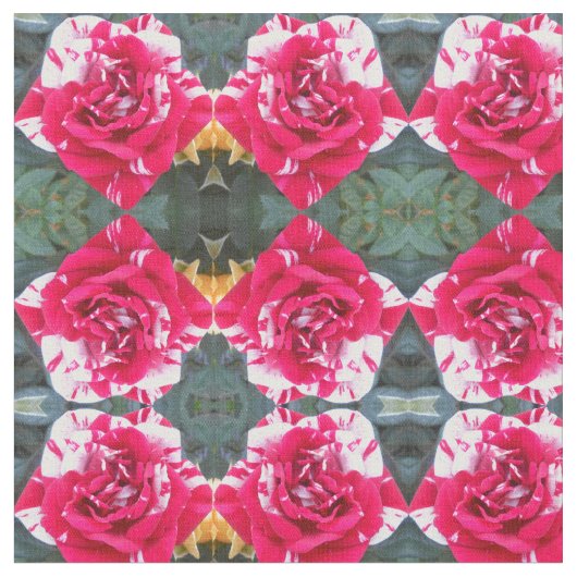 アニシア ファブリック (クローズアップ)