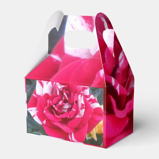 アニシア フェイバーボックス (裏面サイド)