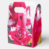 アニシア フェイバーボックス (オープン)