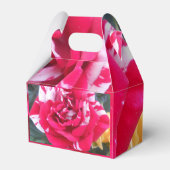 アニシア フェイバーボックス (正面サイド)