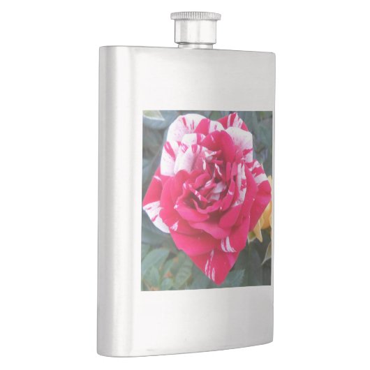 アニシア フラスク (右)