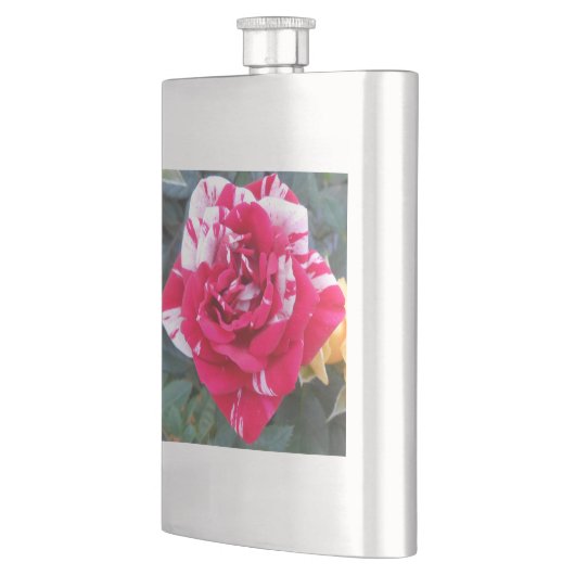 アニシア フラスク (左)