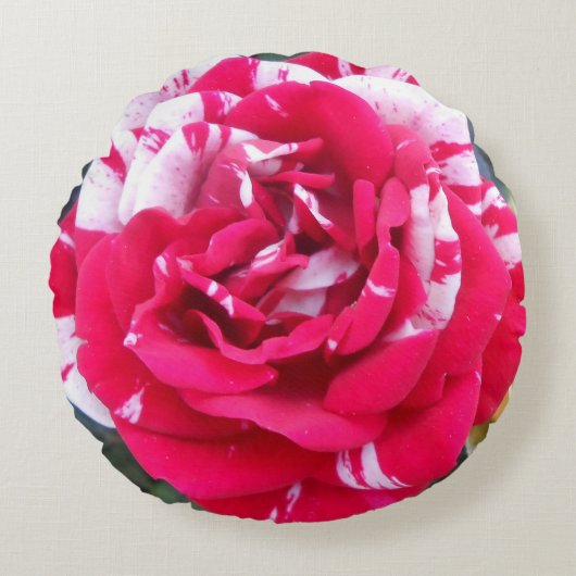 アニシア ラウンドクッション (正面)