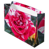 アニシア ラージペーパーバッグ (裏面アングル)